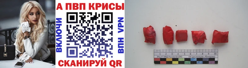 А ПВП крисы CK Каргат