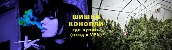 сатива Волосово