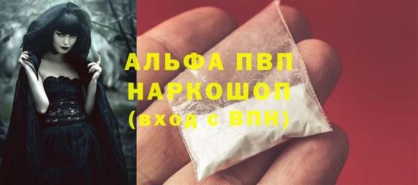 сатива Волосово