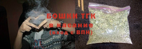 сатива Волосово