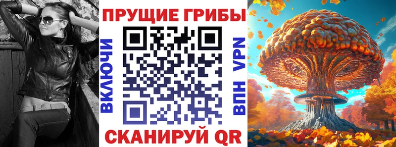 Псилоцибиновые грибы Psilocybe  kraken вход  Каргат 
